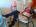 Erotische und geile Lady